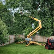 Best Tree Risk Assessment  in Commercial Point, OH